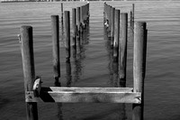 BW_The Old Dock_2.jpg