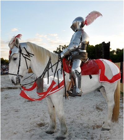 Knight on His Steed_1