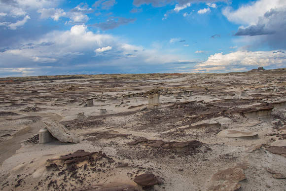 2017_Bisti_Badlands_DHT_0901