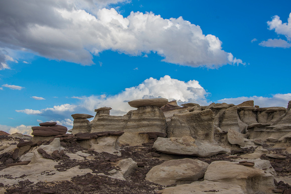 2017_Bisti_Badlands_DHT_0903