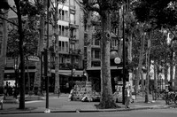 BW_114_France Paris_Street Courner On Route De La Reine