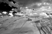 BW_2017_Bisti_Badlands_DHT_0875