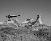 New Mexico - Bisti National Froest - B & W