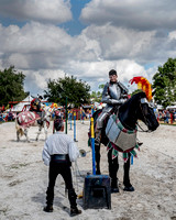 A_2018_Sarasota Medieval Fair_11_10__DHT0072