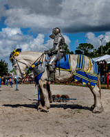 A_2018_Sarasota Medieval Fair_11_10__DHT0077